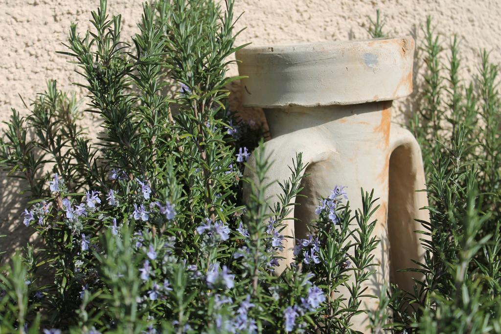 Agriturismo Il Mirtillo B,B Villa Pasturo Luaran gambar