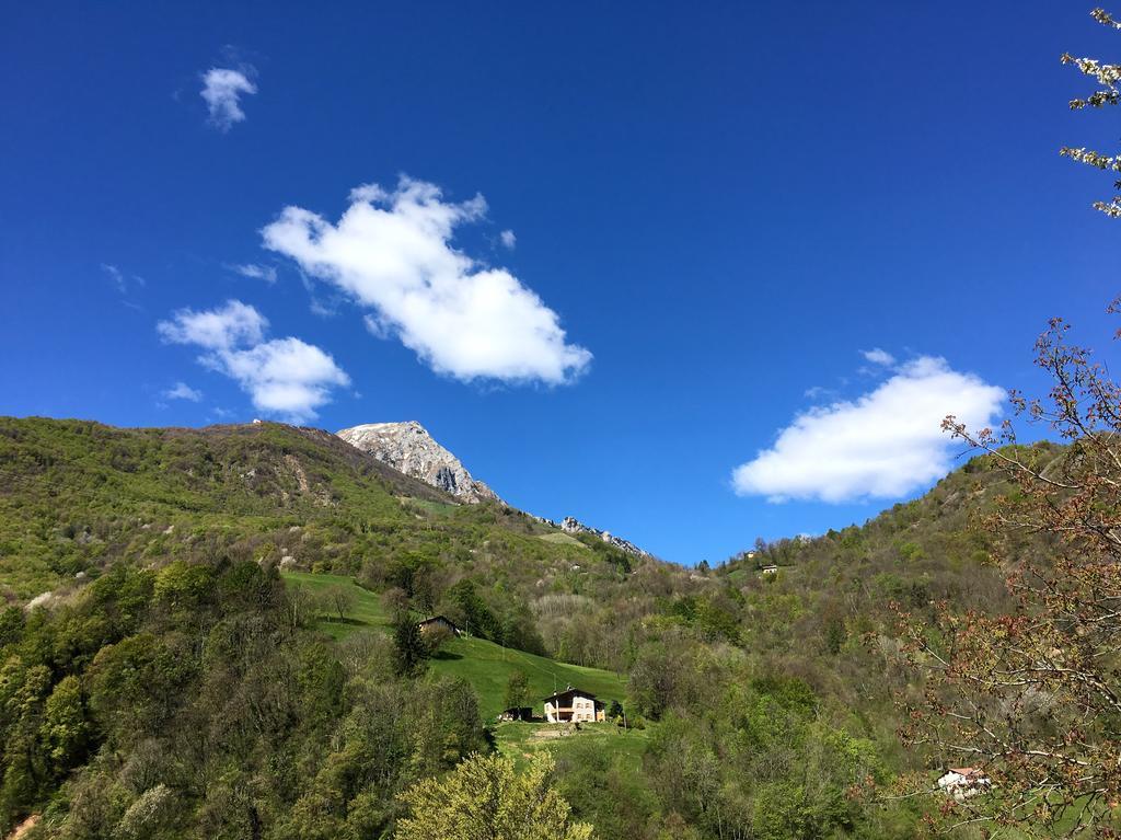 Agriturismo Il Mirtillo B,B Villa Pasturo Luaran gambar